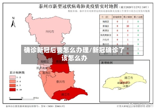 确诊新冠后要怎么办理/新冠确诊了该怎么办-第2张图片
