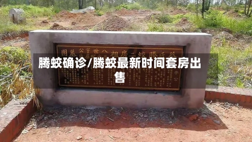 腾蛟确诊/腾蛟最新时间套房出售
