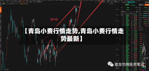 【青岛小费行情走势,青岛小费行情走势最新】-第2张图片
