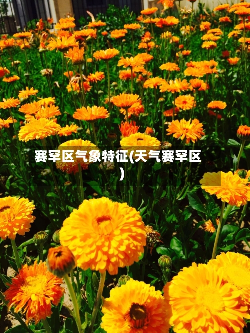 赛罕区气象特征(天气赛罕区)