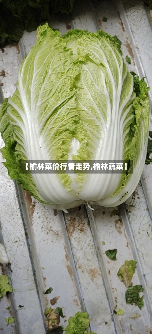 【榆林菜价行情走势,榆林蔬菜】