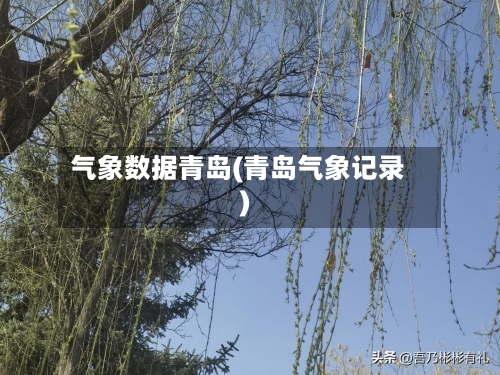 气象数据青岛(青岛气象记录)-第3张图片