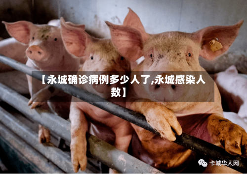 【永城确诊病例多少人了,永城感染人数】