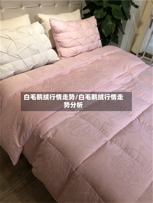 白毛鹅绒行情走势/白毛鹅绒行情走势分析-第2张图片