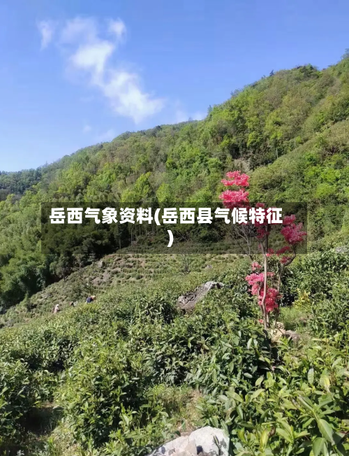 岳西气象资料(岳西县气候特征)
