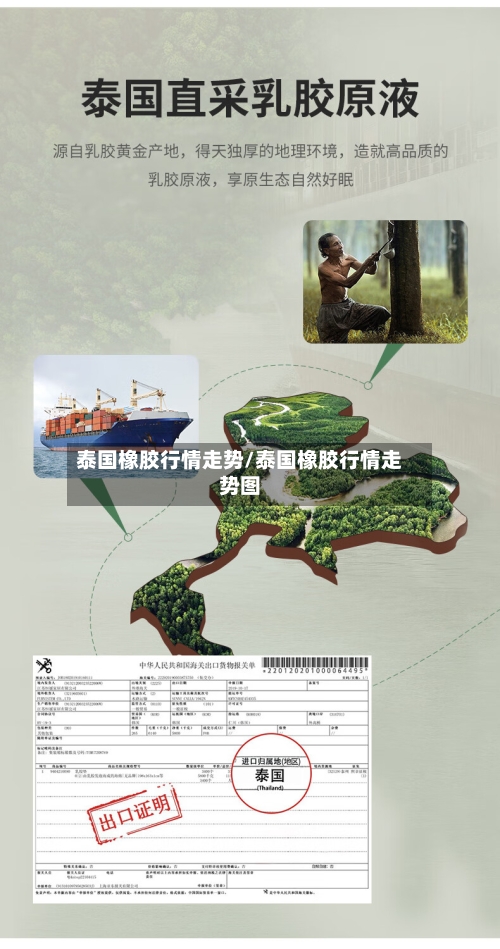泰国橡胶行情走势/泰国橡胶行情走势图