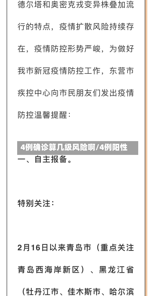 4例确诊算几级风险啊/4例阳性-第2张图片
