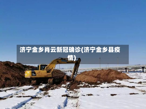 济宁金乡肖云新冠确诊(济宁金乡县疫情)