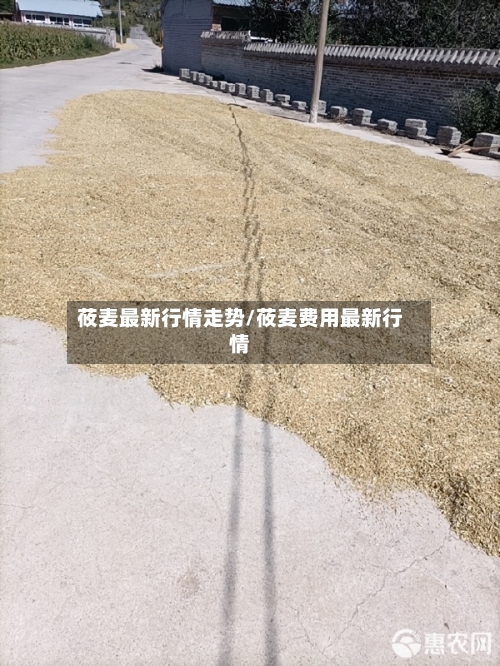 莜麦最新行情走势/莜麦费用最新行情-第3张图片