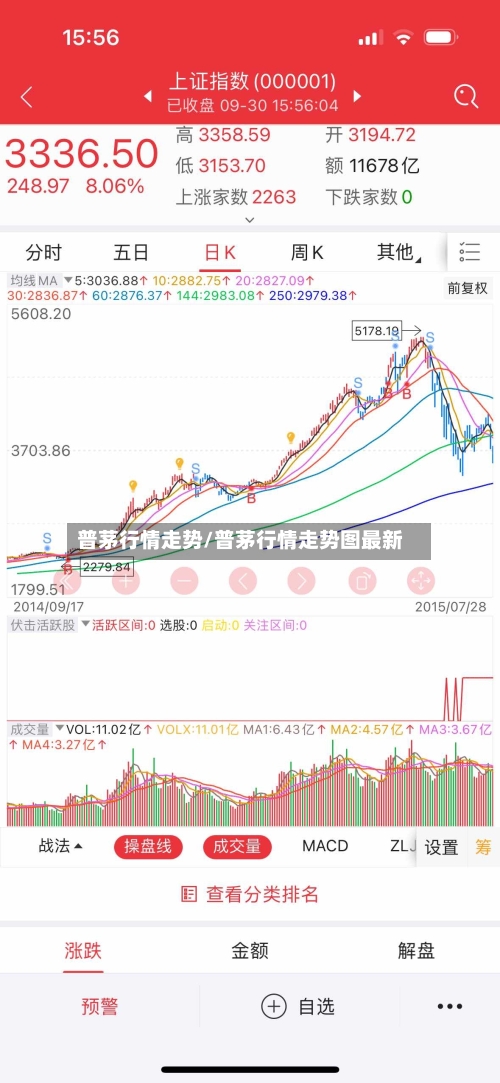 普茅行情走势/普茅行情走势图最新