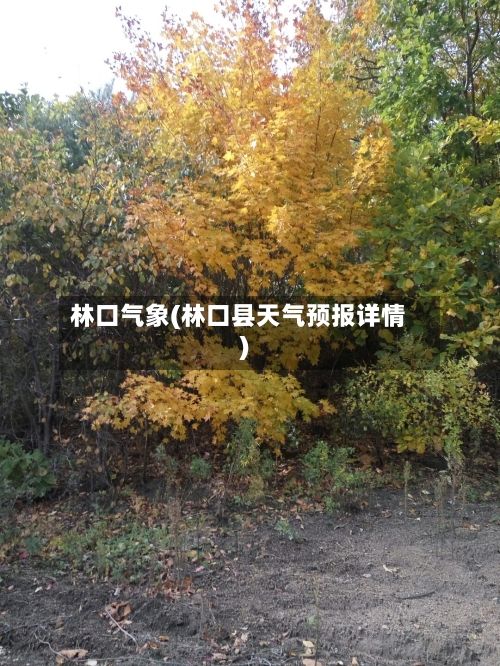 林口气象(林口县天气预报详情)