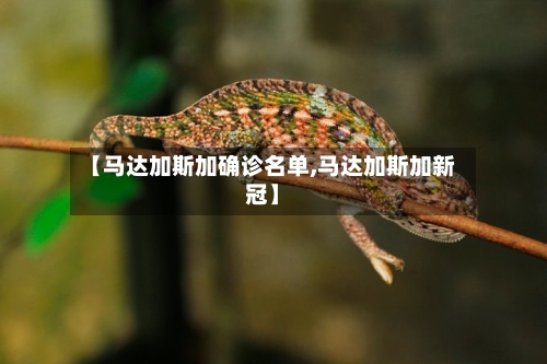 【马达加斯加确诊名单,马达加斯加新冠】-第3张图片