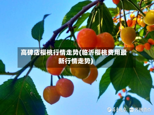 高碑店樱桃行情走势(临沂樱桃费用最新行情走势)
