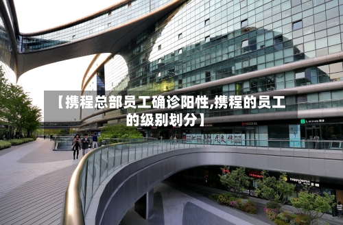 【携程总部员工确诊阳性,携程的员工的级别划分】