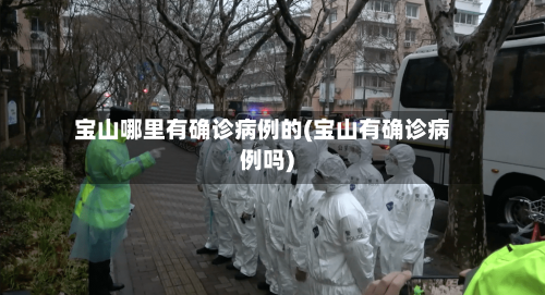 宝山哪里有确诊病例的(宝山有确诊病例吗)-第2张图片