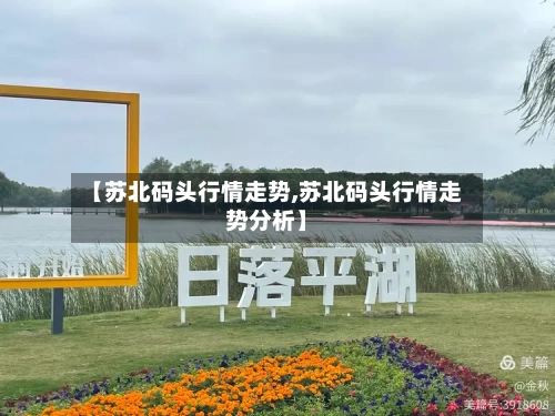 【苏北码头行情走势,苏北码头行情走势分析】