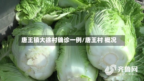 唐王镇大徐村确诊一例/唐王村 概况-第2张图片