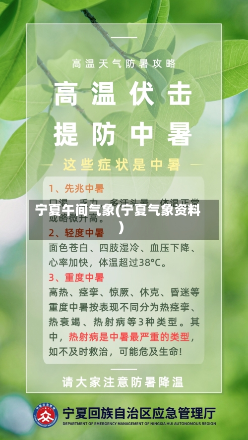 宁夏午间气象(宁夏气象资料)