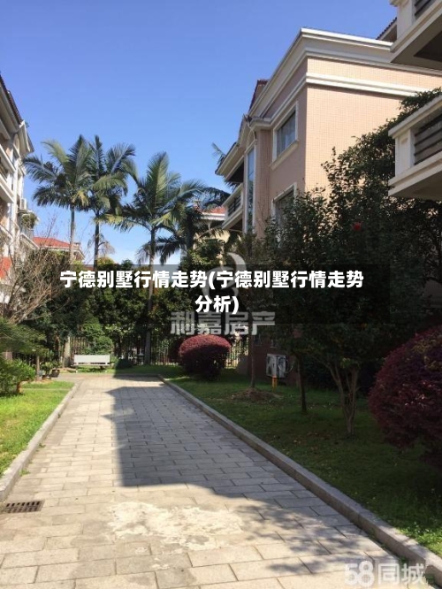 宁德别墅行情走势(宁德别墅行情走势分析)