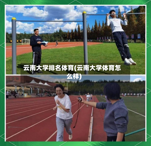 云南大学排名体育(云南大学体育怎么样)-第2张图片