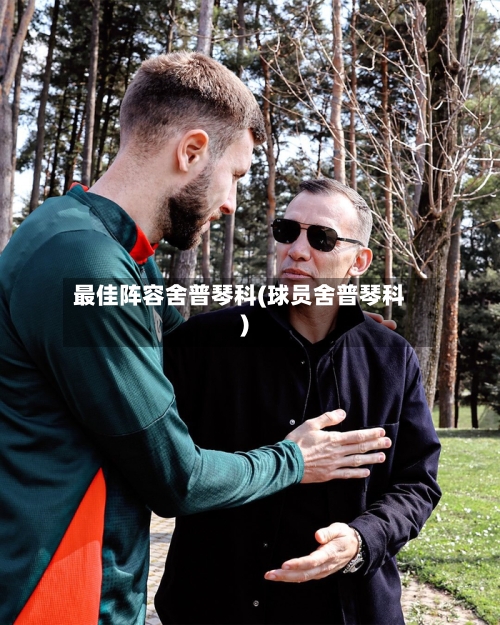 最佳阵容舍普琴科(球员舍普琴科)