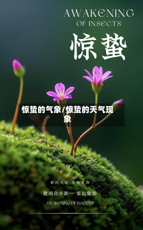 惊蛰的气象/惊蛰的天气现象