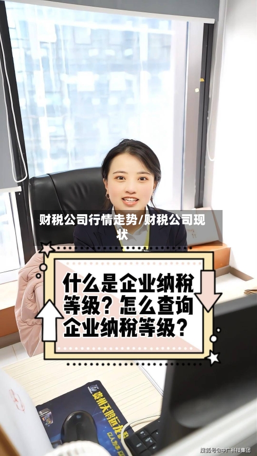 财税公司行情走势/财税公司现状-第3张图片