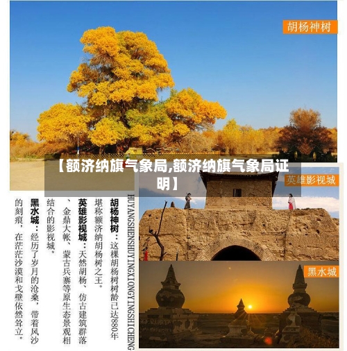 【额济纳旗气象局,额济纳旗气象局证明】