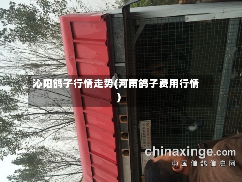 沁阳鸽子行情走势(河南鸽子费用行情)-第2张图片