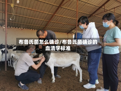 布鲁氏菌怎么确诊/布鲁氏菌确诊的血清学标准