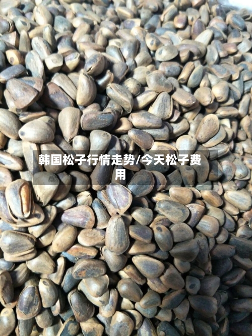 韩国松子行情走势/今天松子费用