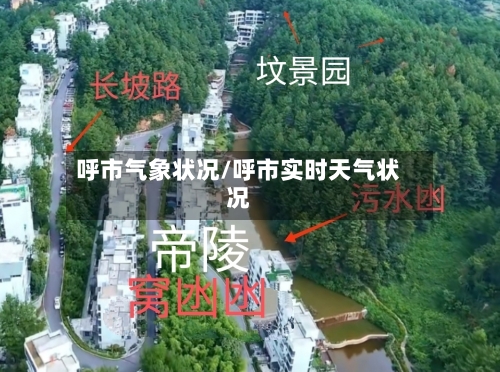 呼市气象状况/呼市实时天气状况