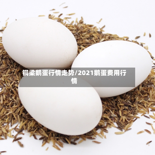 铜梁鹅蛋行情走势/2021鹅蛋费用行情