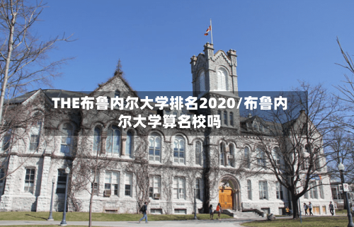 THE布鲁内尔大学排名2020/布鲁内尔大学算名校吗-第3张图片