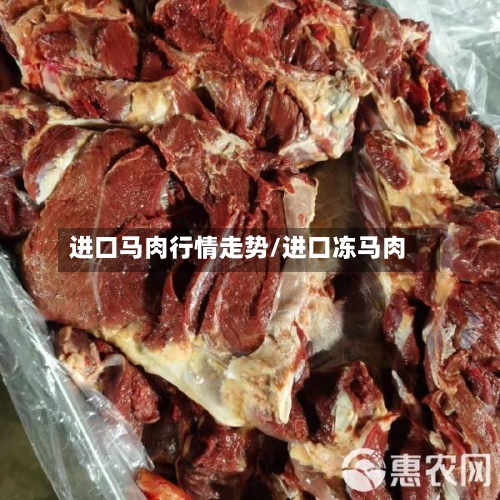 进口马肉行情走势/进口冻马肉