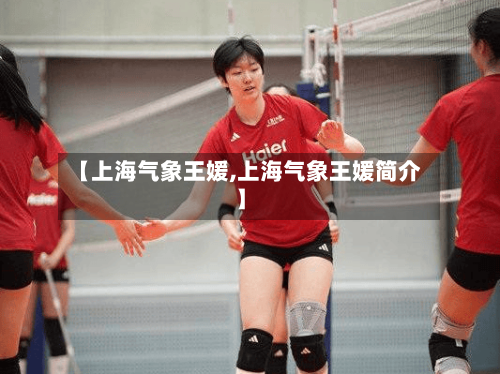 【上海气象王媛,上海气象王媛简介】