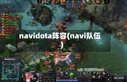 navidota阵容(navi队伍)-第3张图片