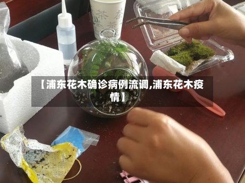 【浦东花木确诊病例流调,浦东花木疫情】