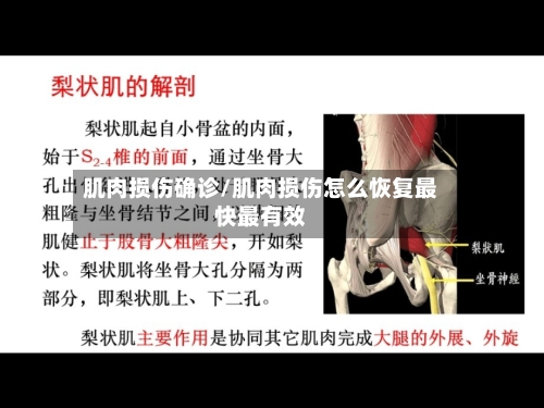 肌肉损伤确诊/肌肉损伤怎么恢复最快最有效-第2张图片