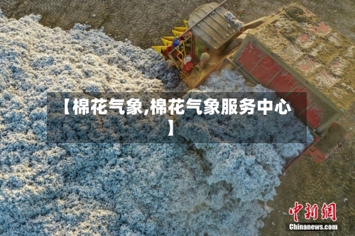 【棉花气象,棉花气象服务中心】