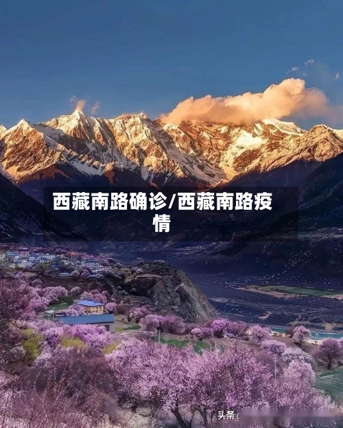 西藏南路确诊/西藏南路疫情-第2张图片