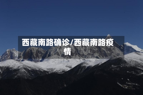 西藏南路确诊/西藏南路疫情-第3张图片