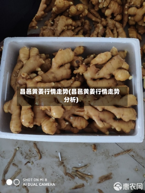 昌邑黄姜行情走势(昌邑黄姜行情走势分析)
