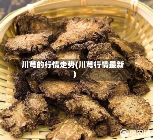 川芎的行情走势(川芎行情最新)