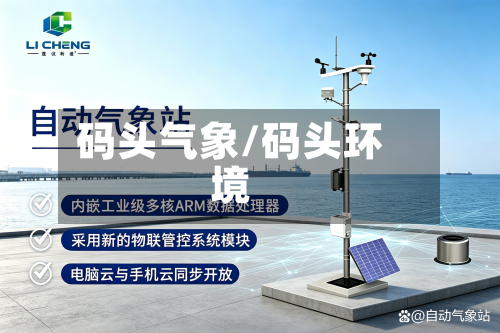 码头气象/码头环境-第3张图片