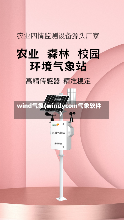 wind气象(windycom气象软件)-第2张图片