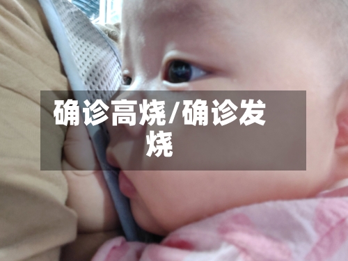 确诊高烧/确诊发烧