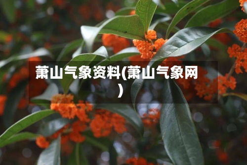 萧山气象资料(萧山气象网)