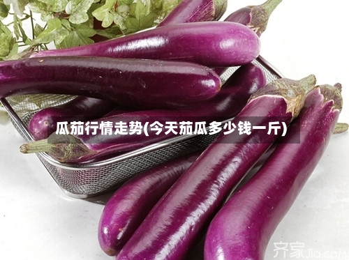 瓜茄行情走势(今天茄瓜多少钱一斤)-第3张图片