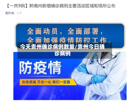 今天贵州确诊病例数量/贵州今日确诊病例-第3张图片